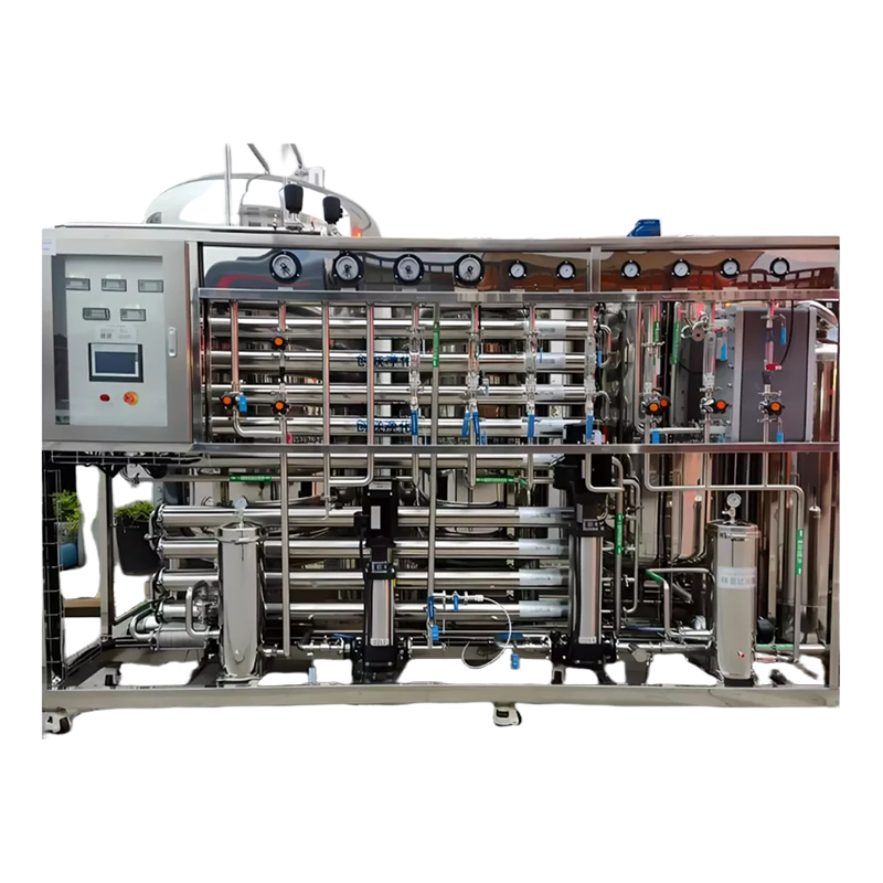 High Purity Water Treatment System (Double-stage RO + EDI)